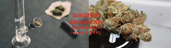 спиды Абаза