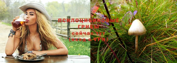спиды Абаза