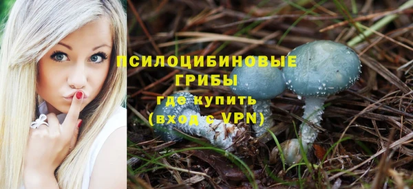 спиды Абаза