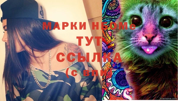 стаф Абдулино